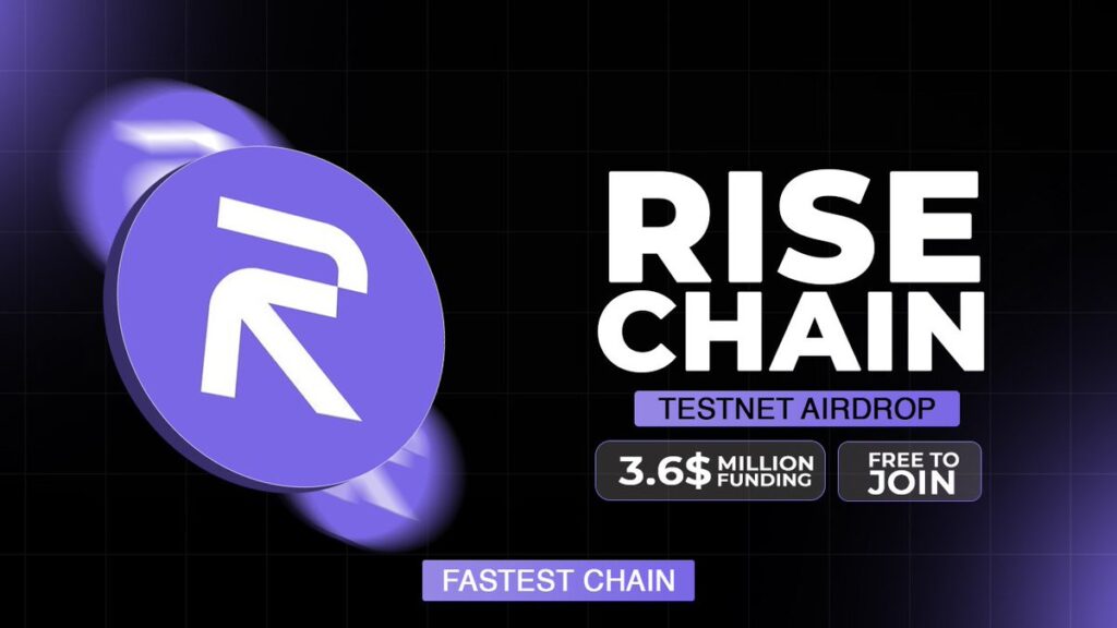 rise chain testnet guide